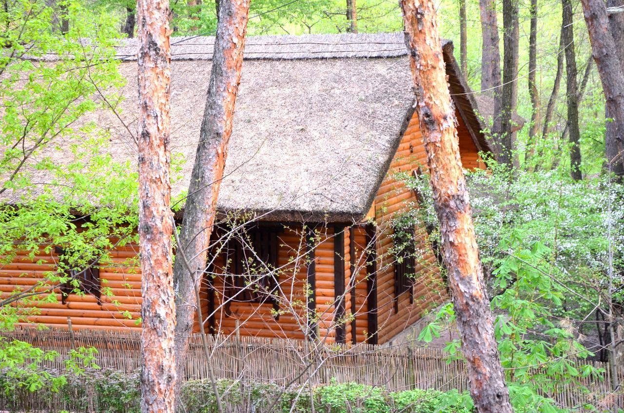 Chumatskiy Shlyah Romankiv 외부 사진
